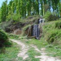 Best offers for El Madroño Santiago Pontones